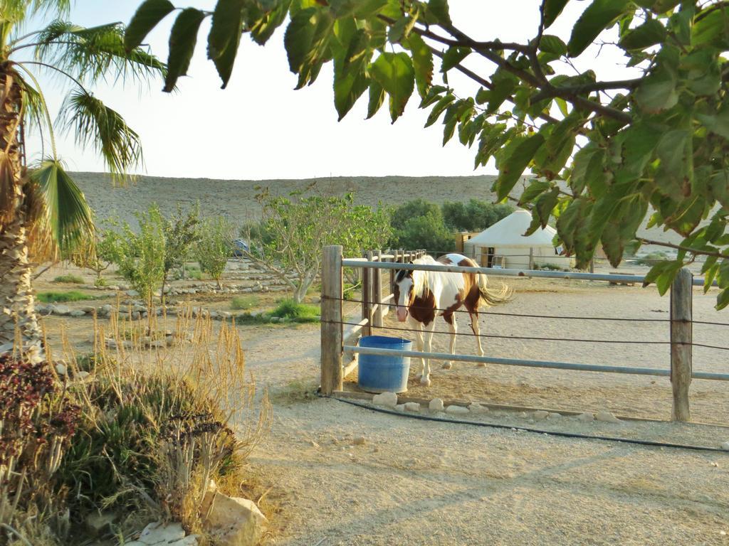 Succah In The Desert Mitzpe Ramon Ngoại thất bức ảnh