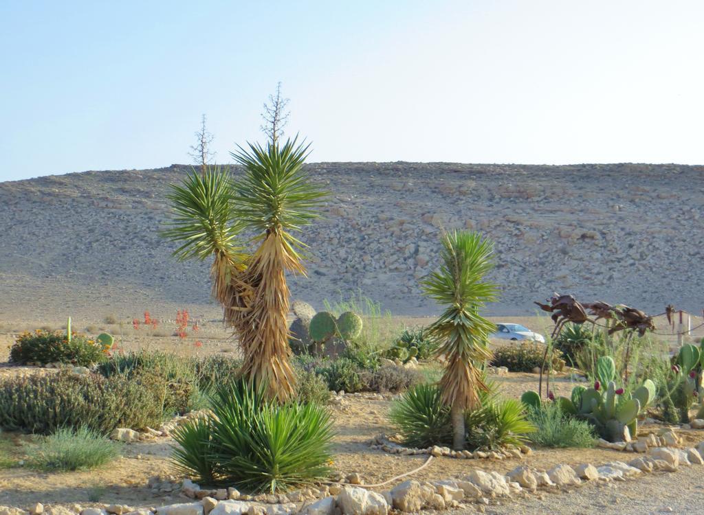 Succah In The Desert Mitzpe Ramon Ngoại thất bức ảnh